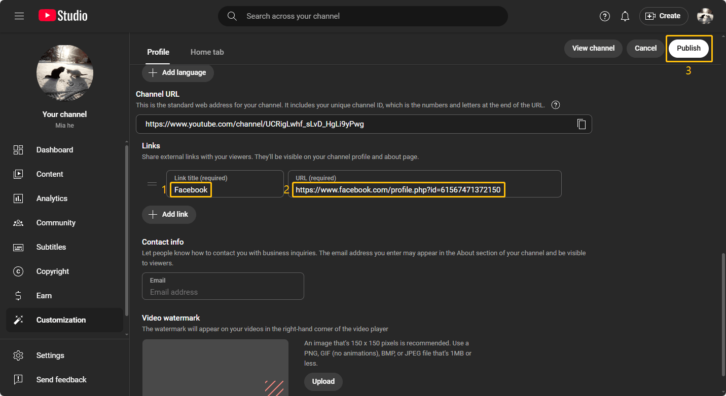 Screenshot of YouTube Studio’s Customization interface showing options for adding external links