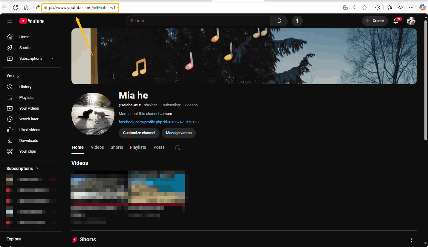 Interface of a YouTube channel and the channel URL from the browser’s address bar is highlighted