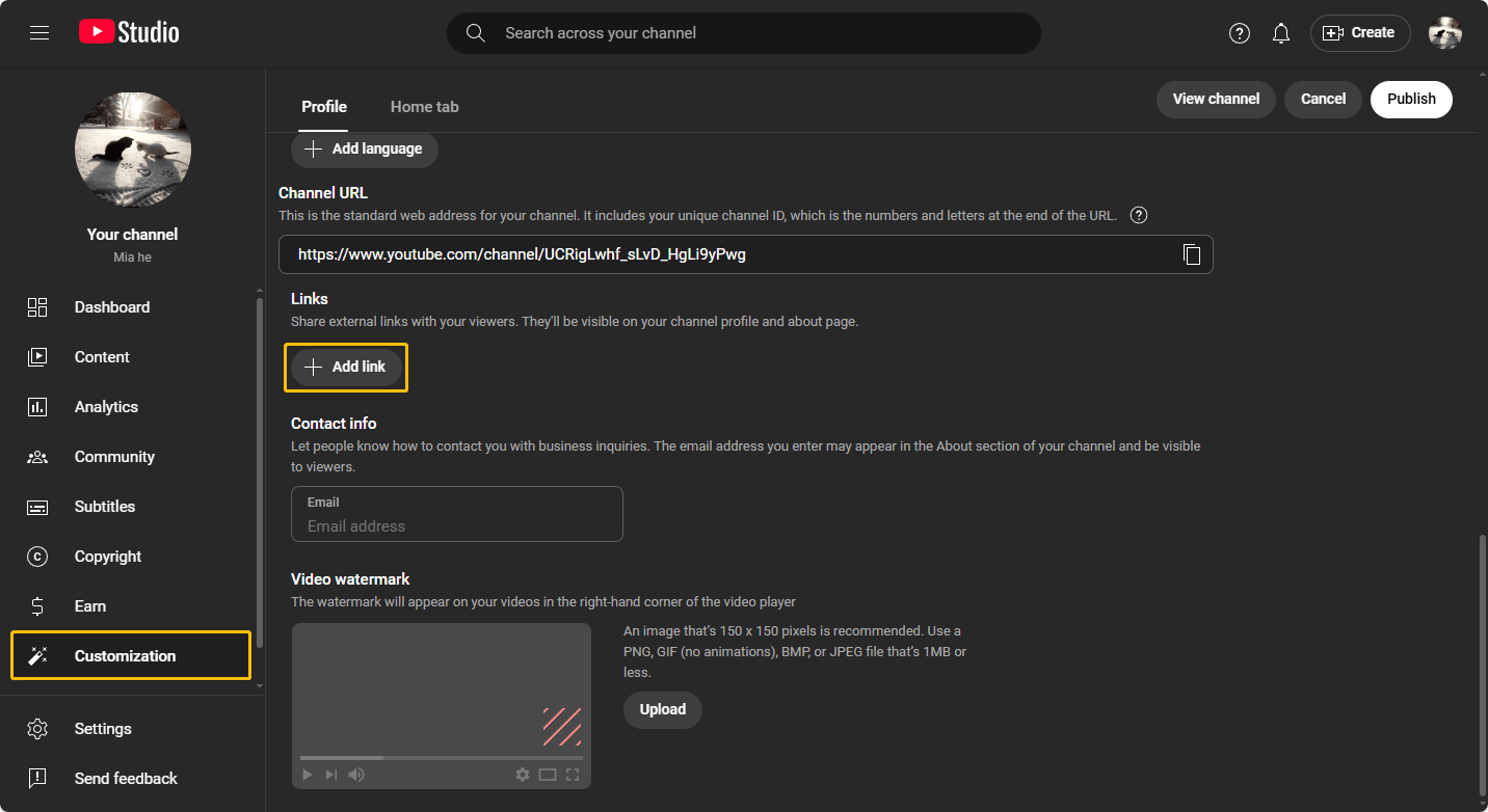 Screenshot of YouTube Studio’s Customization interface with the Add link button highlighted