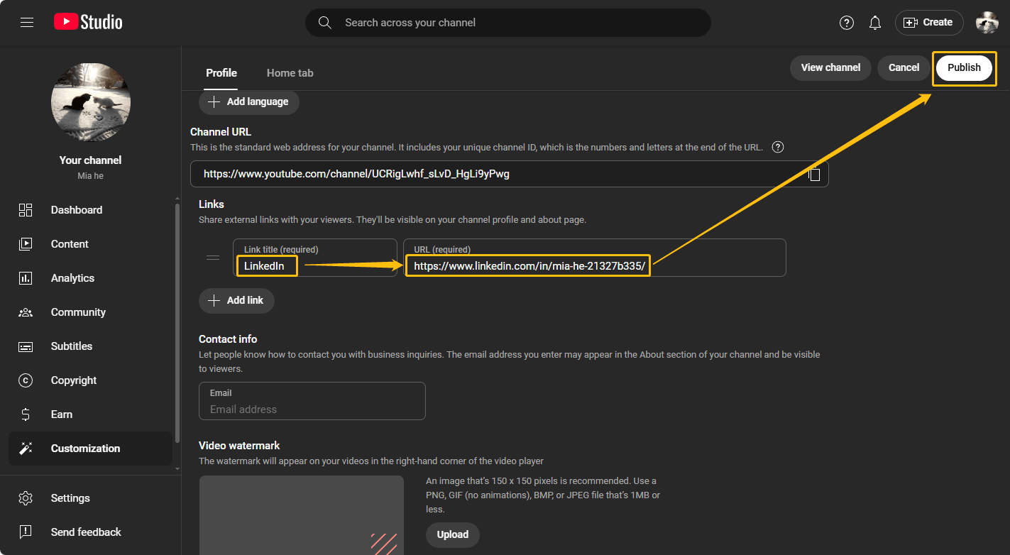 Screenshot of YouTube Studio’s Customization interface showing options for adding external links