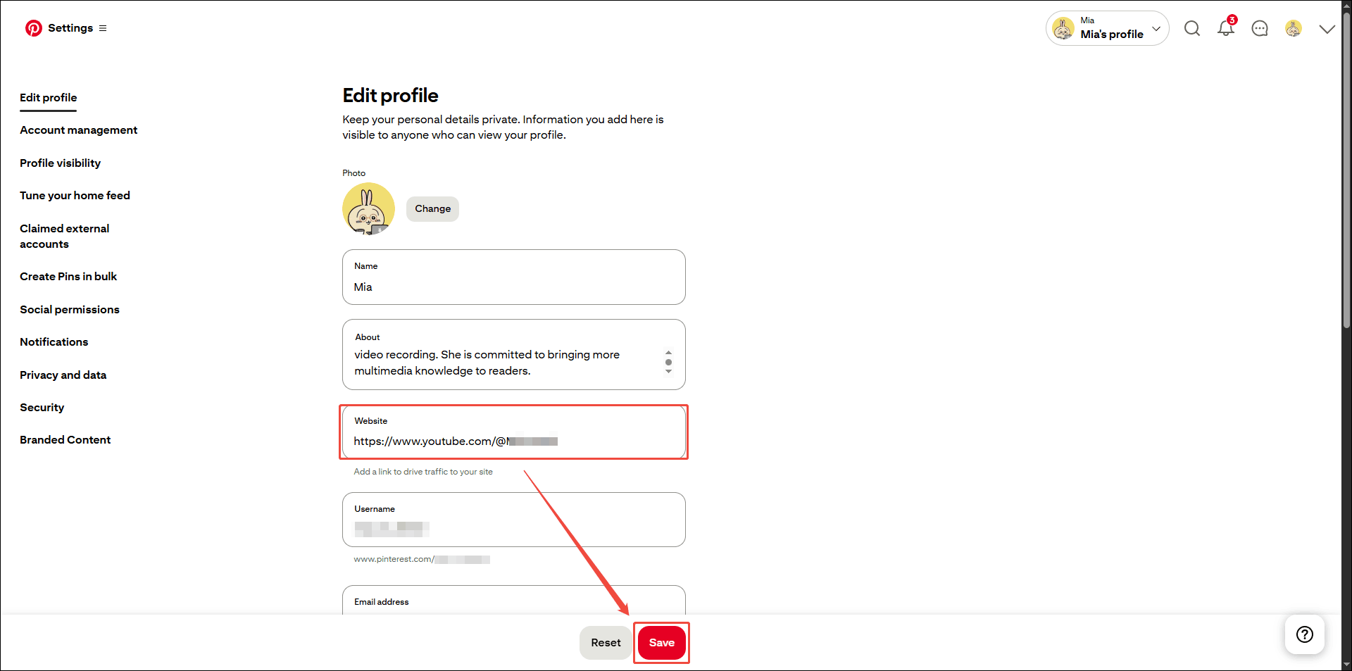 Screenshot of Pinterest showing how to add website links to Pinterest profile