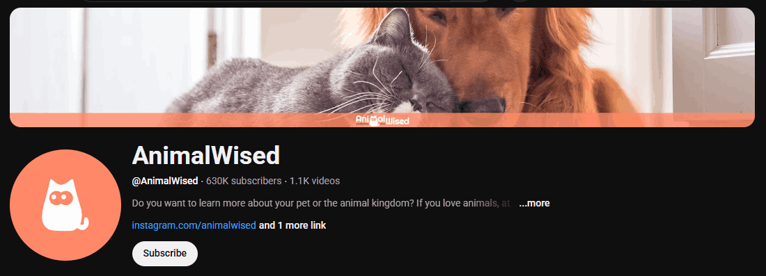Screenshot of the Animal Wised’s channel homepage