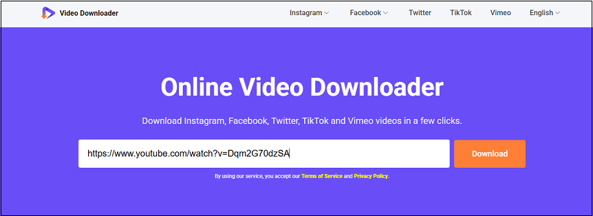 Gehen Sie zu viddown.net, fügen Sie den Link in das vorgesehene Feld ein und klicken Sie auf Download.