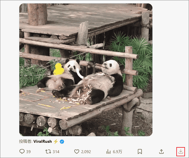 X (Twitter) Video DownloaderでTwitter動画をダウンロード