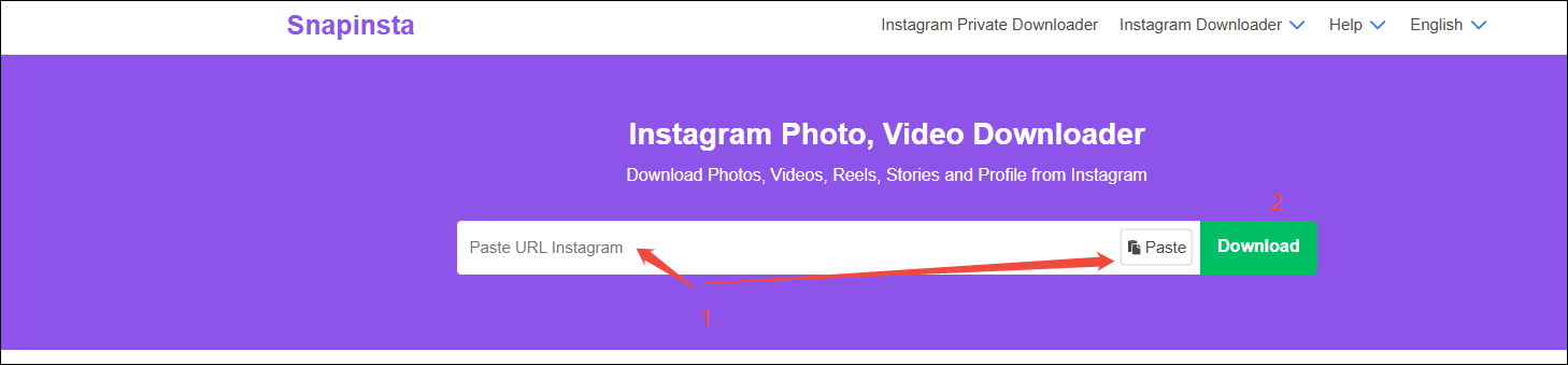Paste the Instagram video link or click on Paste, then click on Download to analyze the video link in SnapInsta