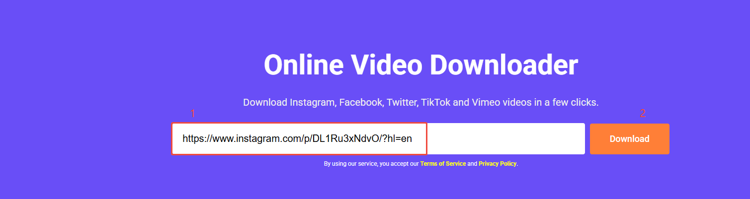 Paste the Instagram video link and click on Download to analyze it in viddown.net