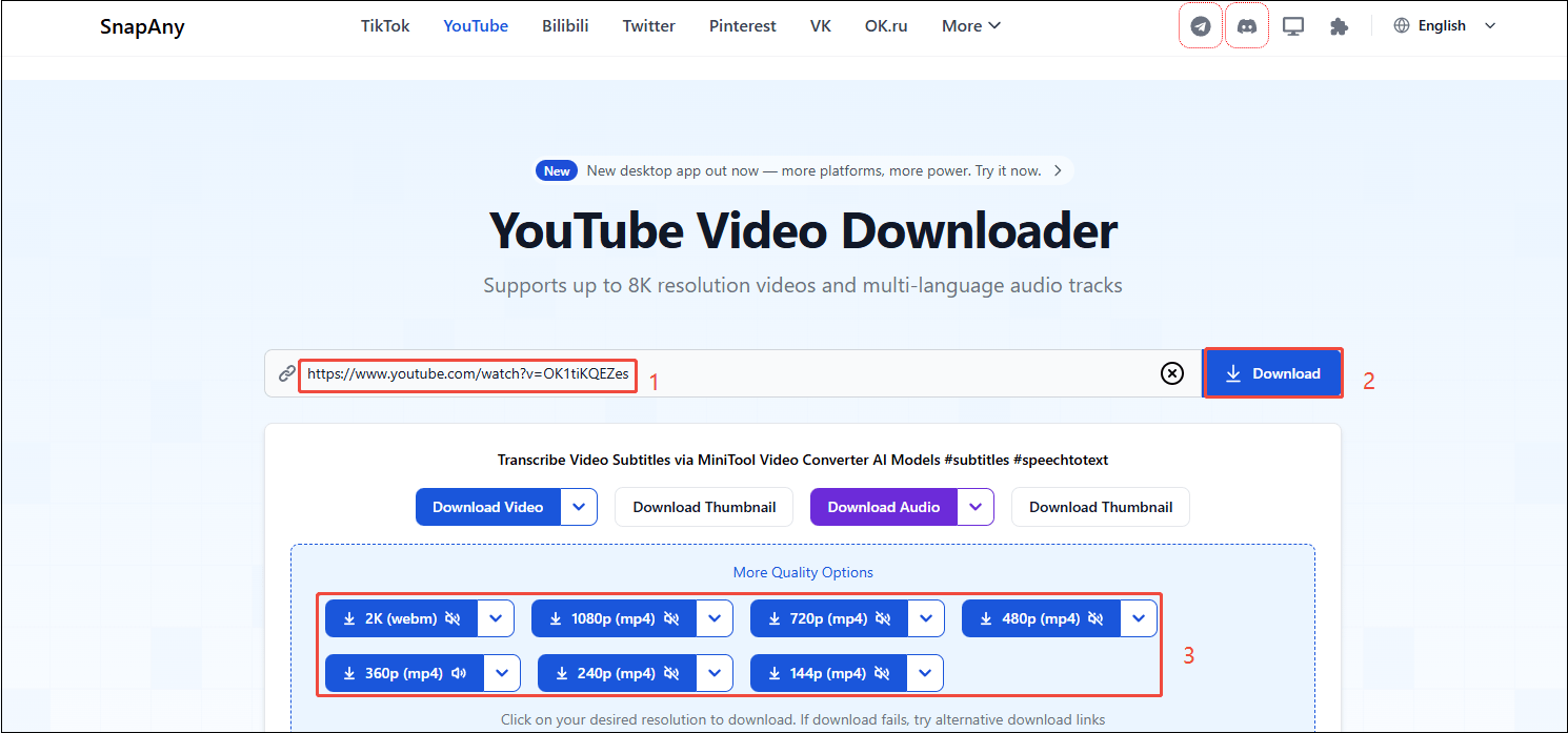 Paste the YouTube link, click on Download, and choose output video quality in SnapAny