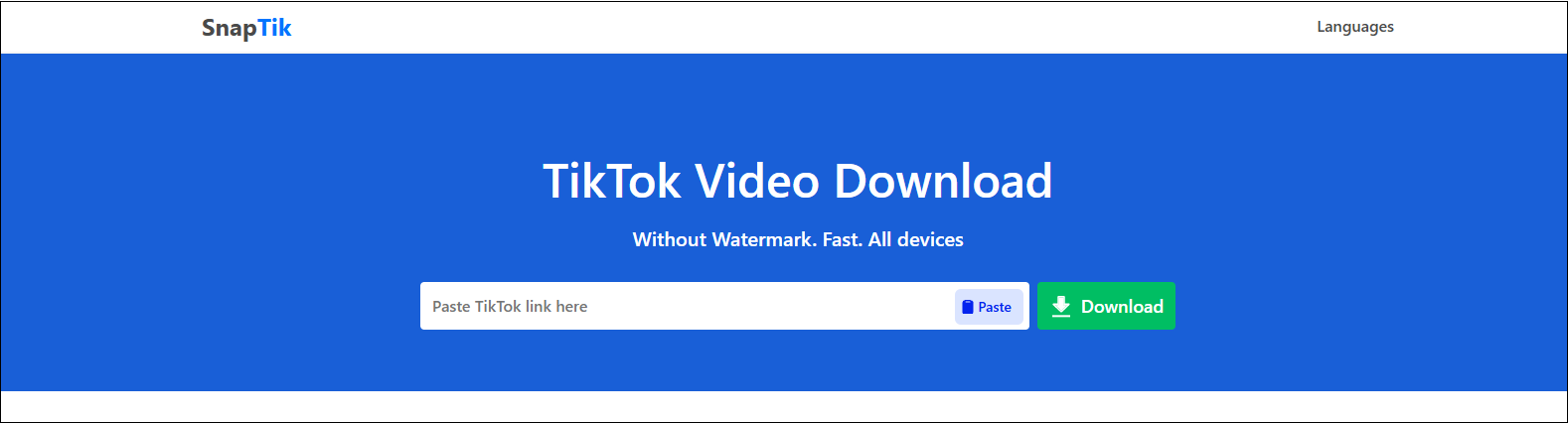 The main interface of SnapTik