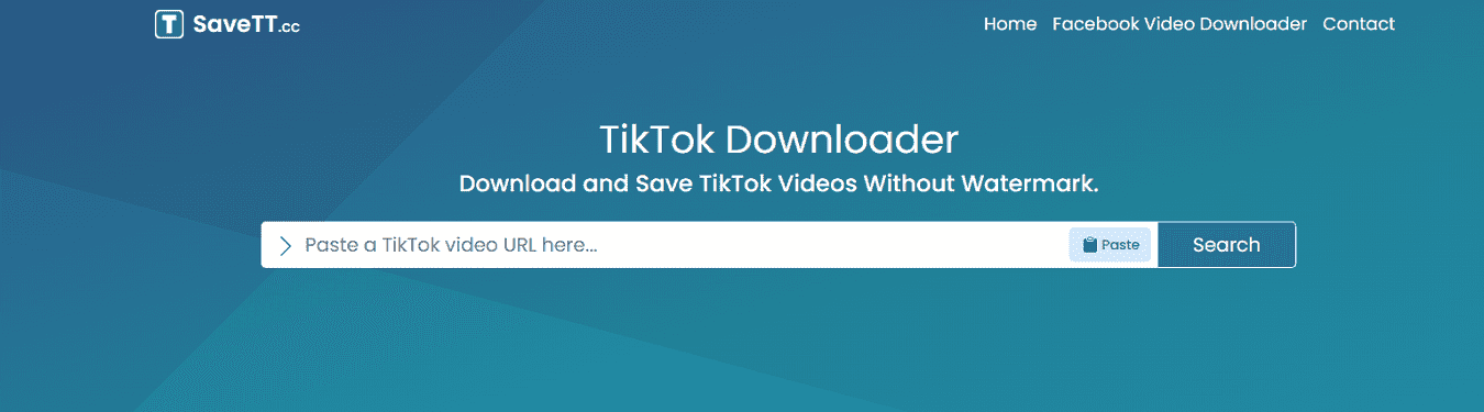 The main interface of SaveTT