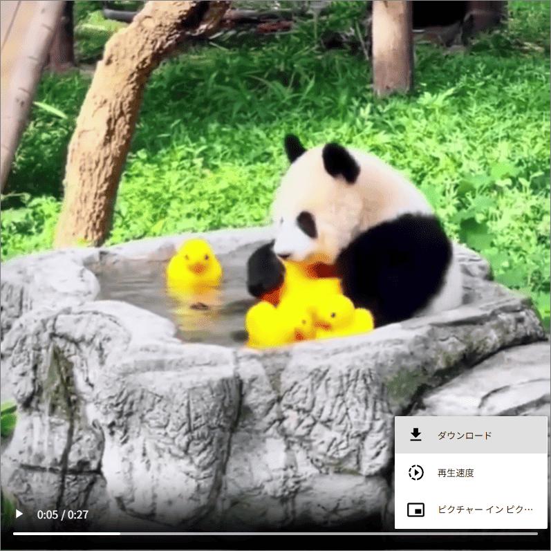 動画の再生画面で「ダウンロード」をクリック