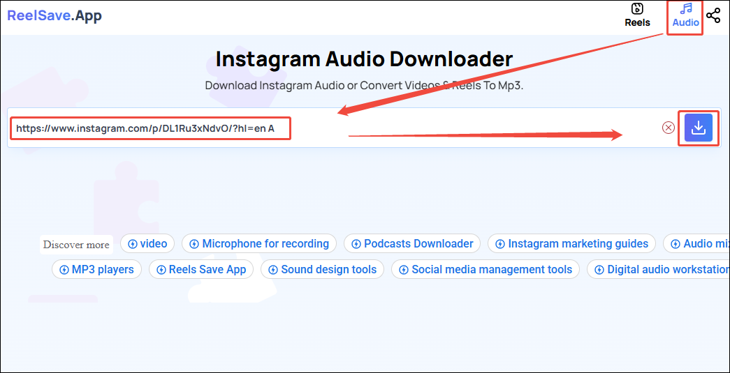 Choose the Audio mode and paste the copied URL of the Instagram video into the box, then click the Download icon to analyze the URL in ReelSave.App