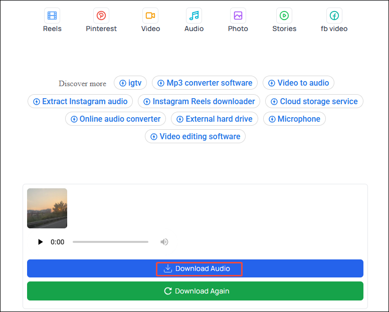 Click on Download Audio to save Instagram audio in FastVideoSave.Net