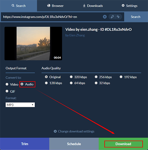 Wählen Sie die Option „Audio“ und klicken Sie auf „Herunterladen“, um das Instagram-Audio in SnapDownloader zu speichern.