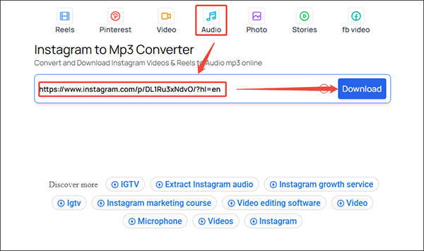 Klicken Sie auf „Audio“ und fügen Sie den kopierten Instagram-Video-Link in die Adressleiste ein, klicken Sie dann auf „Herunterladen“, um das Download-Interface in FastVideoSave.Net zu öffnen.