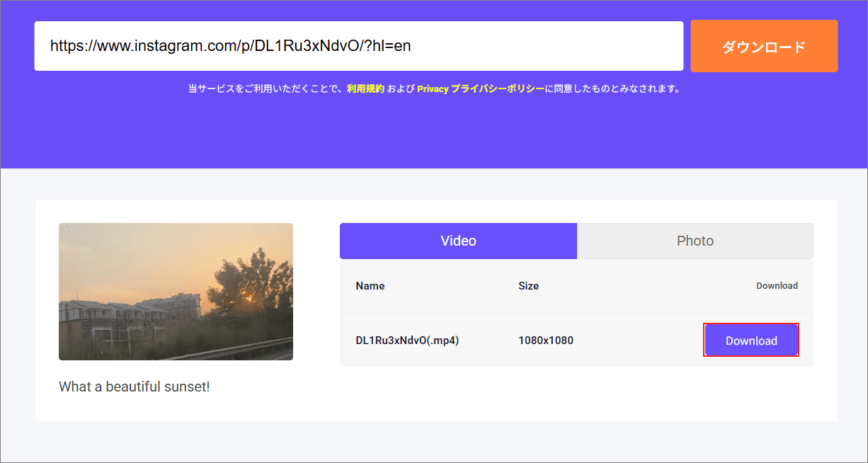 viddownで必要なダウンロードオプションの隣にある「Download」ボタンをクリックする画面