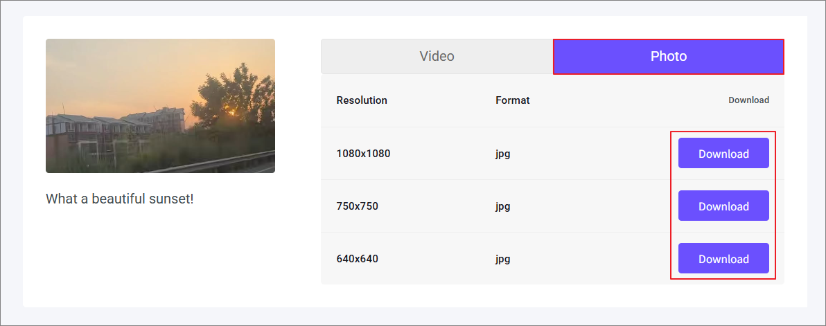 viddownの「Photo」タブで動画のカバーをダウンロードする様子