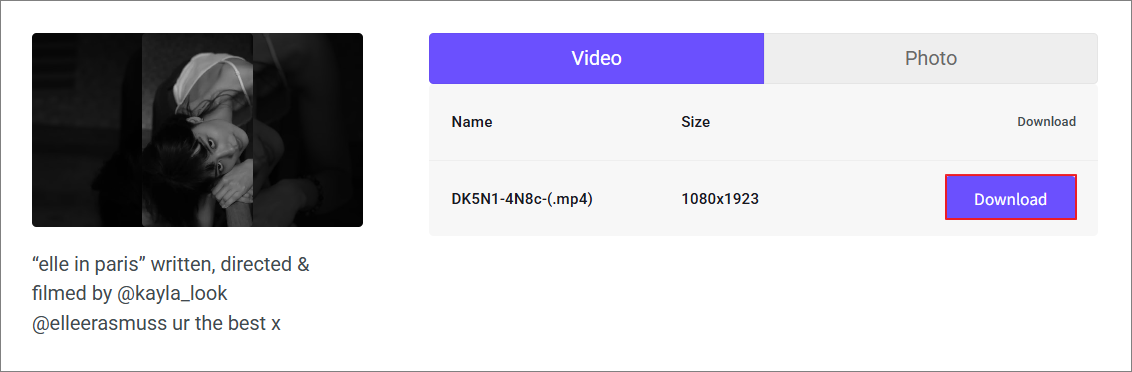 オンライン動画ダウンローダー(viddown)でダウンロードオプションを選択