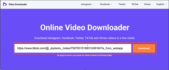 Feld zum Einfügen des TikTok-Videolinks und Download-Option auf viddown.net
