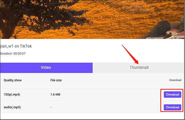 MP4-Download und Thumbnail-Option