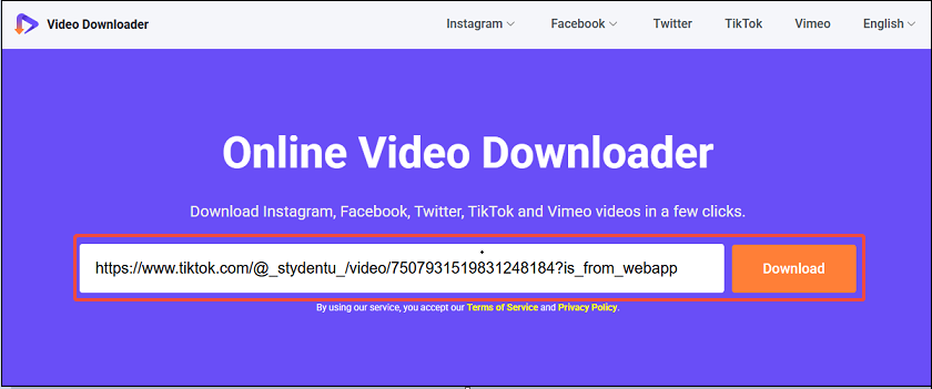 Fügen Sie den TikTok-Video-Link ein und klicken Sie auf Download auf viddown.net.