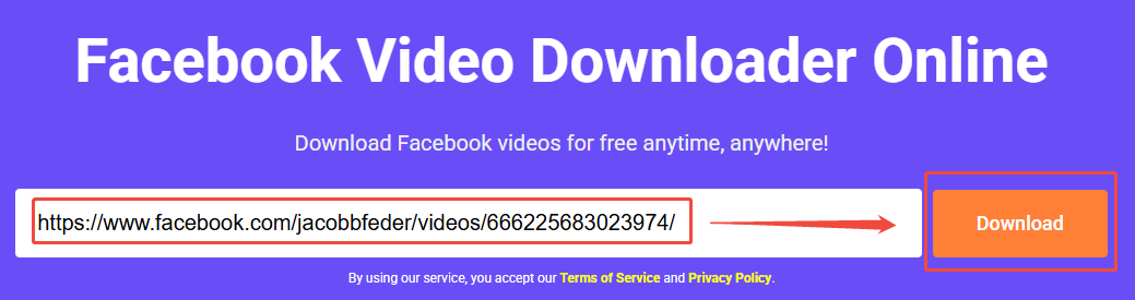The viddown.net interface shows how to analyze a Facebook video URL.