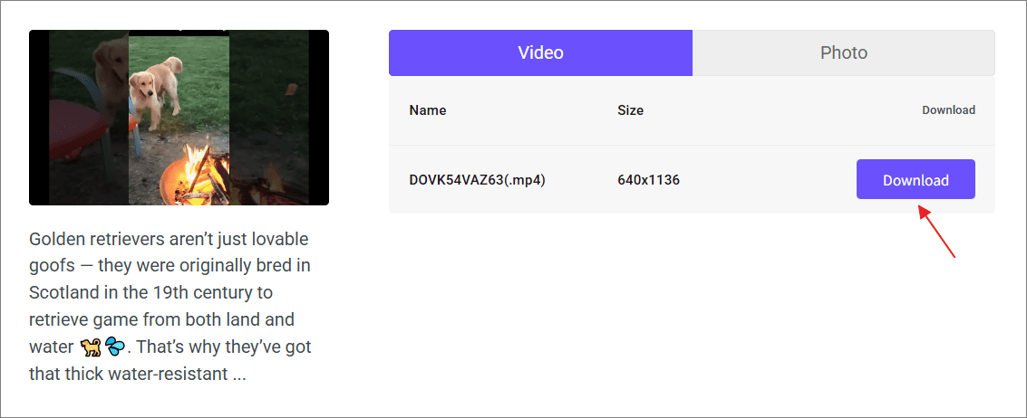 viddownオンラインダウンローダーの解析結果から必要なダウンロードオプションの「Download」をクリックしている様子