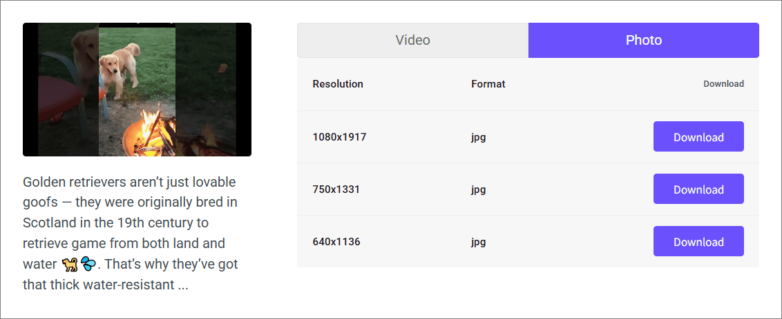 viddownオンラインダウンローダーで動画のサムネイルを保存する様子
