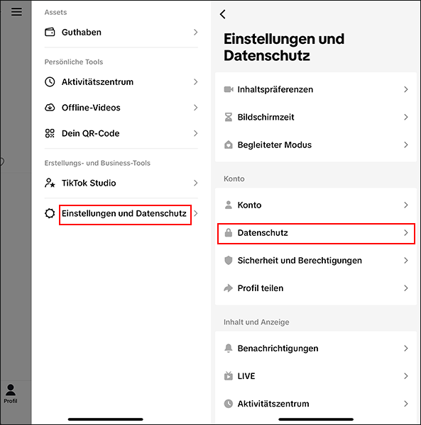 Optionen Einstellungen und Datenschutz und Datenschutz in TikTok