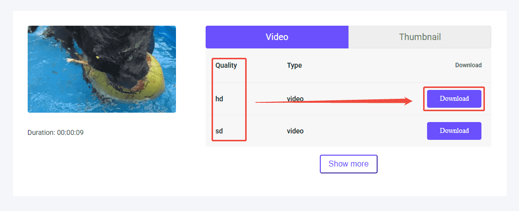 Die Oberfläche von viddown.net zeigt die Auswahl der Videoqualität und den Download-Vorgang.
