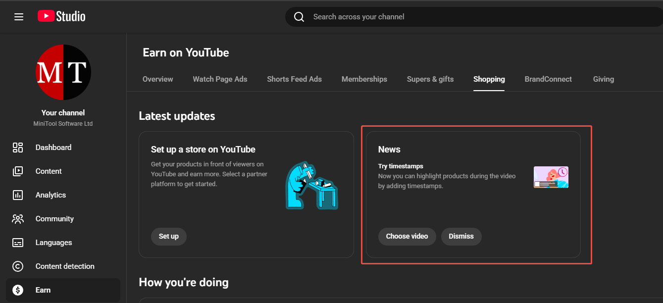 YouTube Earn page with the try timestamps section highlighted under the Shopping tab.