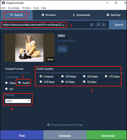Link-Einfügung sowie Wahl von Format und Audioqualität in SnapDownloader.
