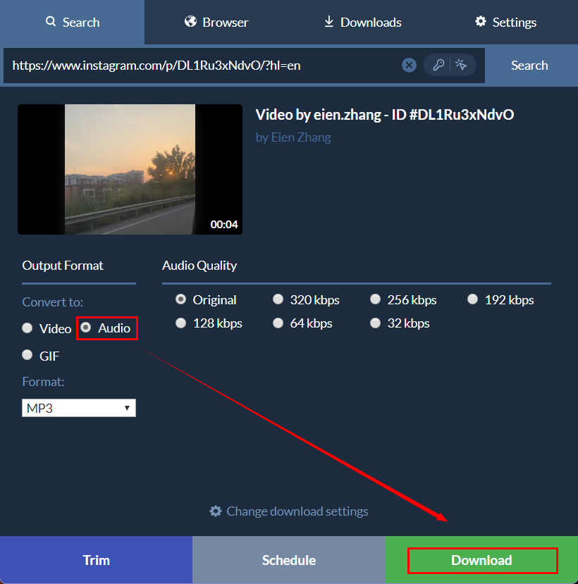 解析結果画面で「Audio」と「Download」ボタンをクリックしている様子