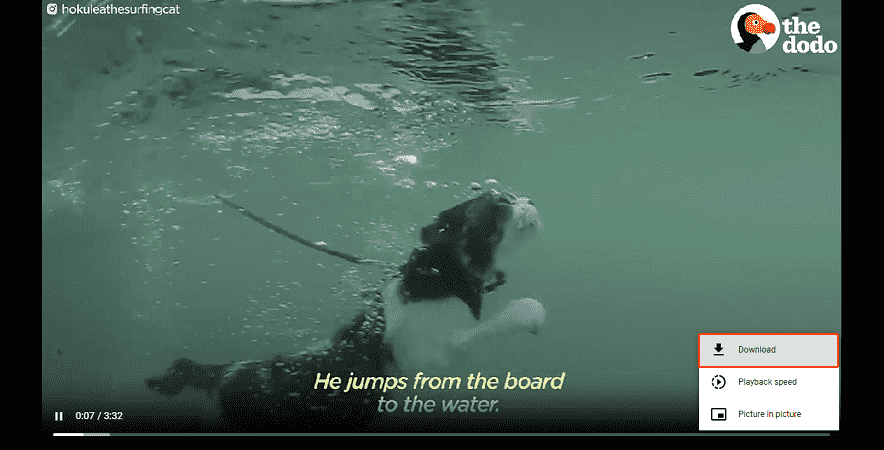 Klick auf das Drei-Punkte-Symbol und Auswahl von „Download“ im Menü auf viddown.net.