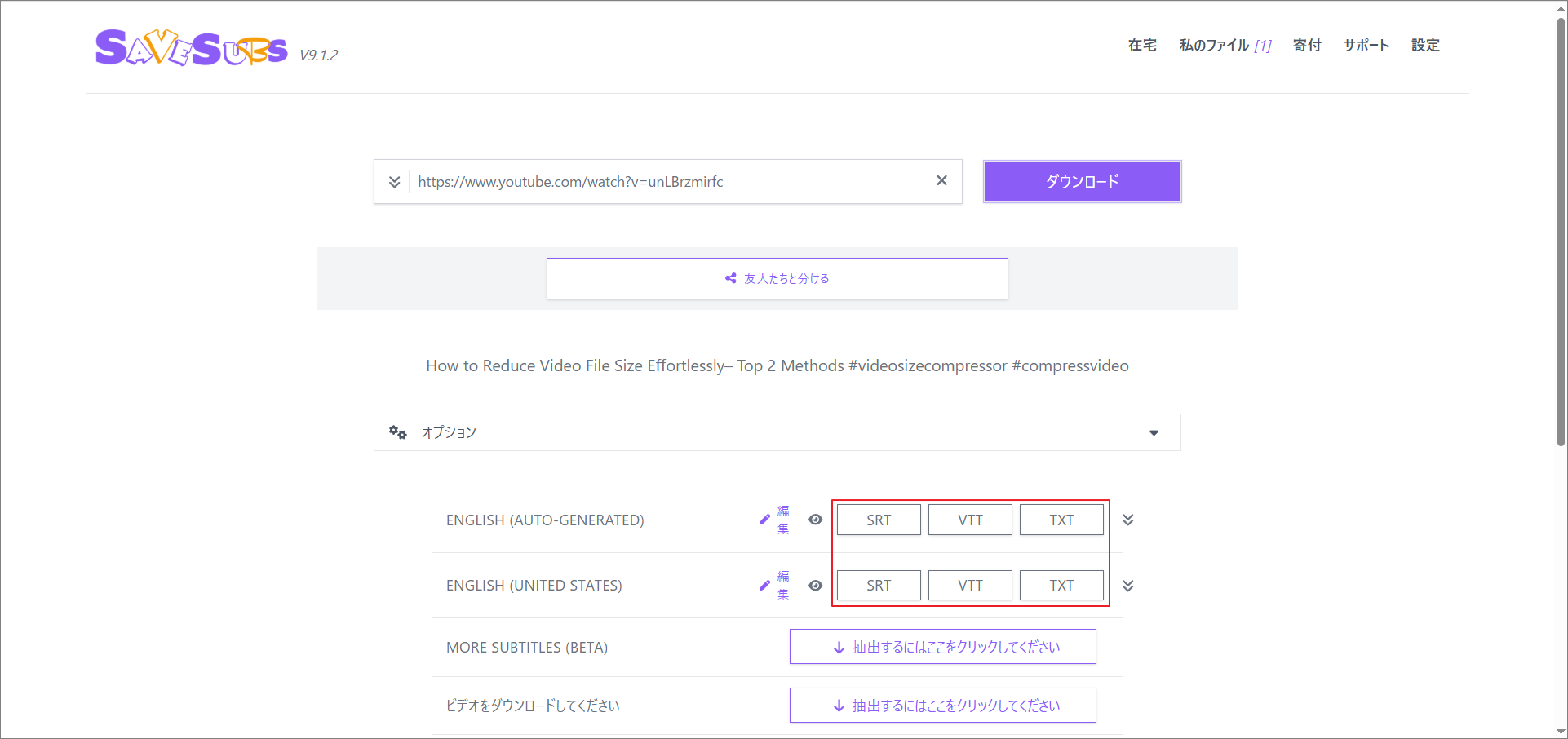 Savesubsから字幕オプションを選択する画面