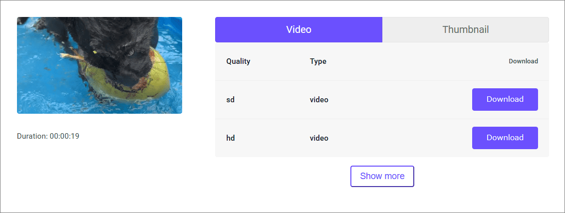 動画品質の選択方法を示すviddownインターフェース
