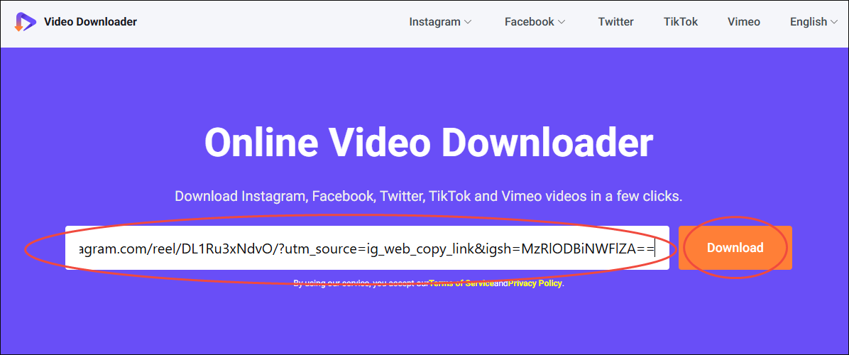 Online Video Downloader on viddown dot net interface with the Instagram story URL pasted and the Download option selected.