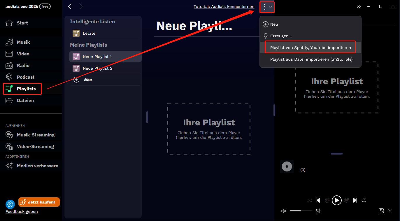 Wählen Sie Playlists auf der linken Seite, klicken Sie auf das Drei-Punkte-Symbol und wählen Sie Playlist von Spotify, YouTube importieren in Audials Play.