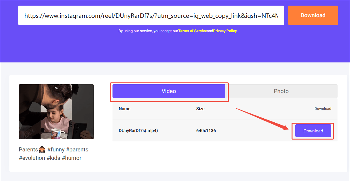 Online Video Downloader on viddown dot net interface with the Download option selected under the Video section.