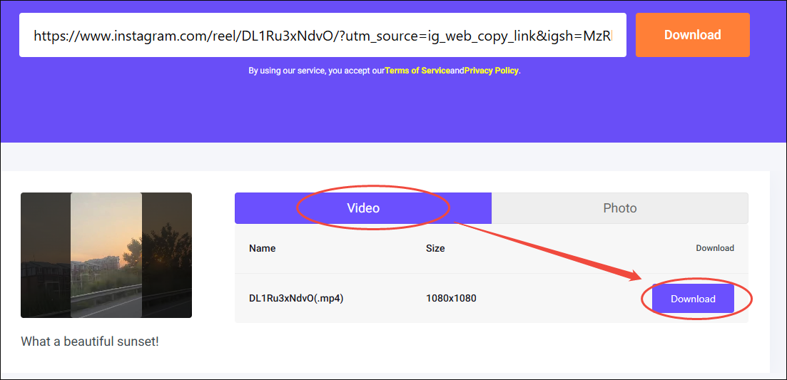 Die Oberfläche des Online Video Downloaders auf viddown.net zeigt die ausgewählte Option Herunterladen, um das Instagram-Video zu speichern.