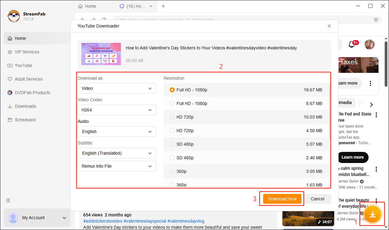 StreamFab YouTube video download interface showing how to choose the video parameters and begin downloading.