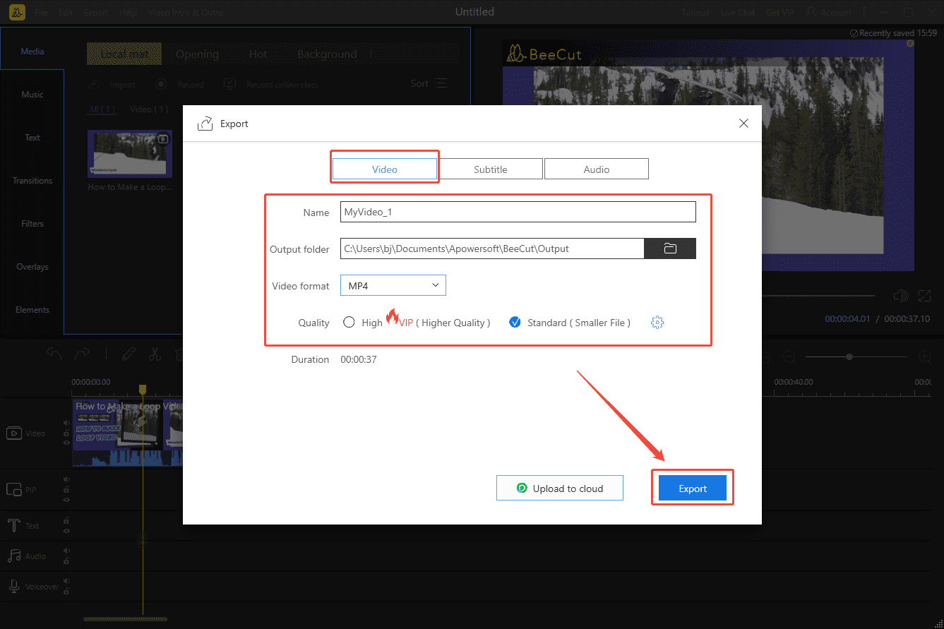 BeeCut Export interface showing how to configure the output video settings under the Video section.