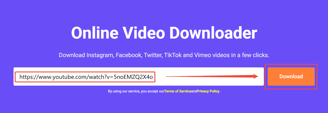 viddown net interface with the URL pasted and the Download button selected.