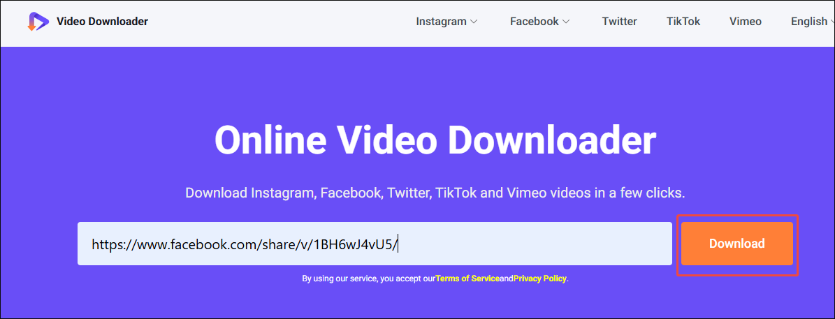Viddown.net interface that shows how to start the link analysis process.