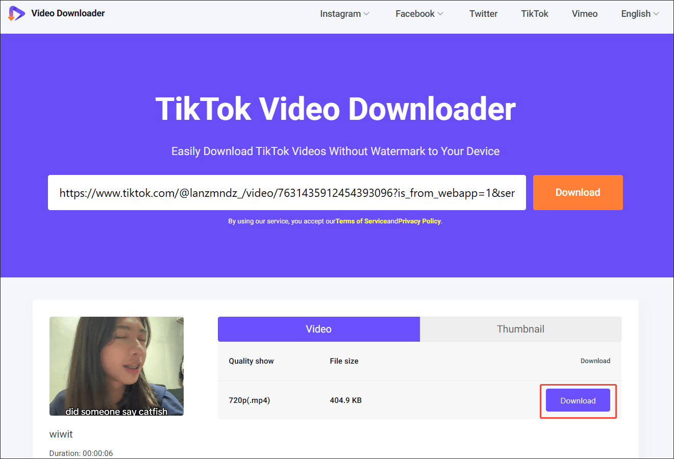 Viddown.net interface with the Download option selected to begin the download process.