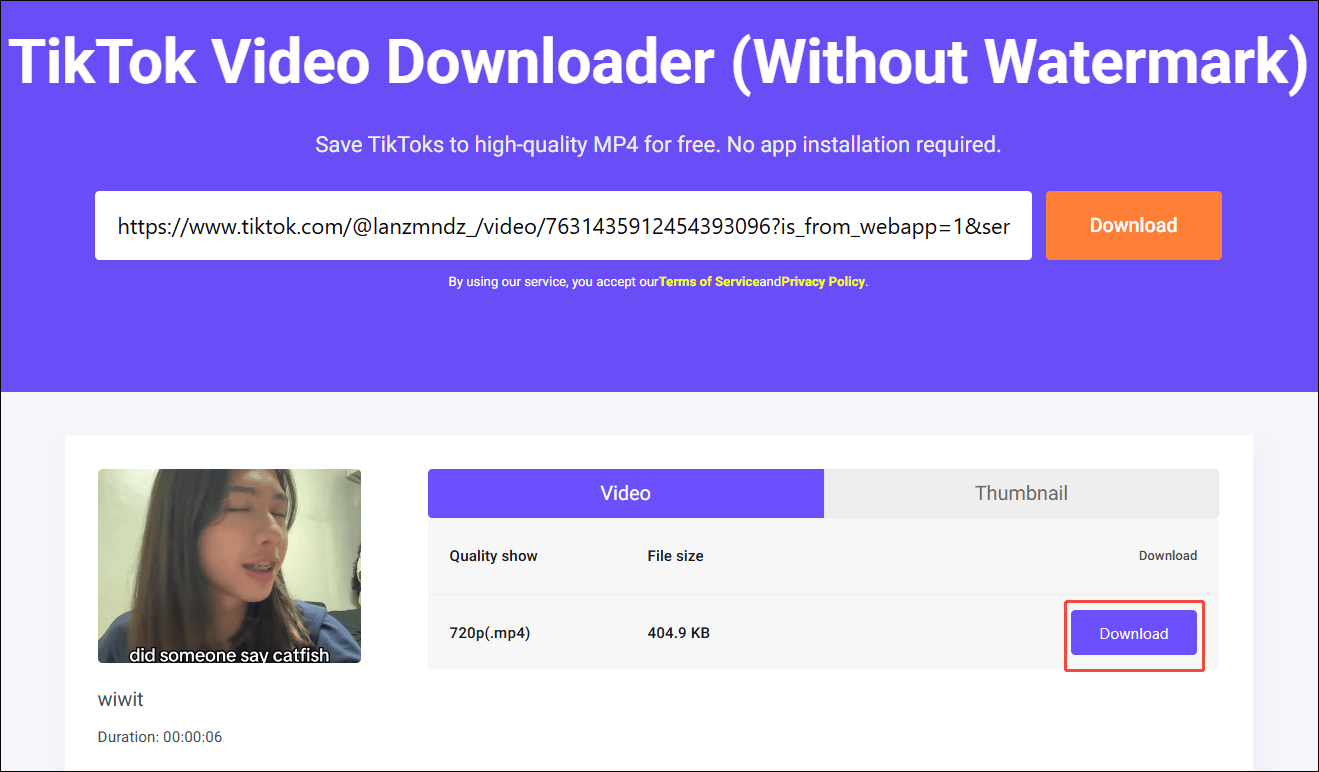 Viddown net interface with the output format and the Download option selected to begin the download process.