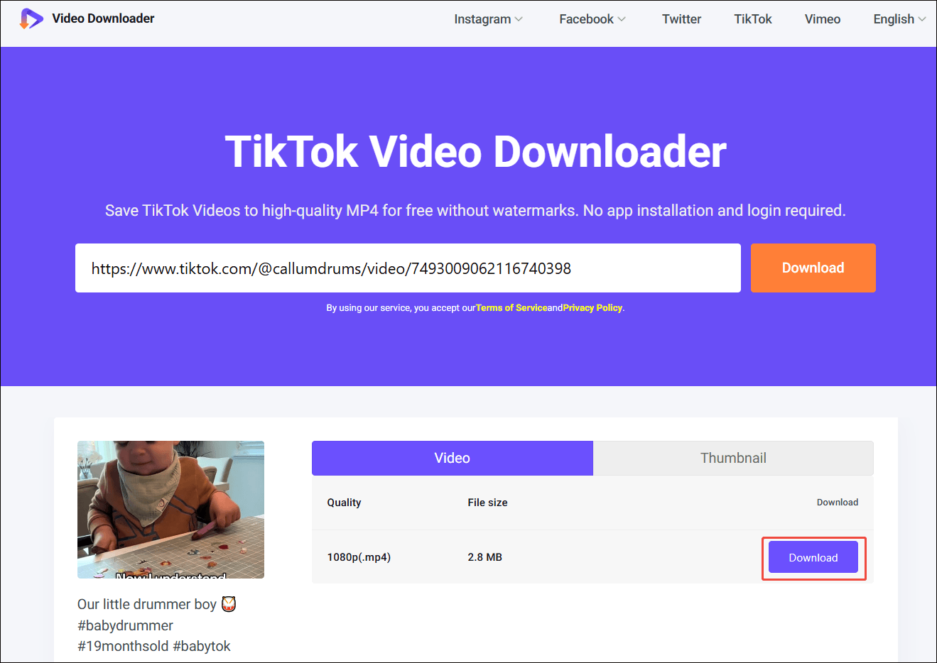 Viddown net interface with the Download option selected to begin the download process.