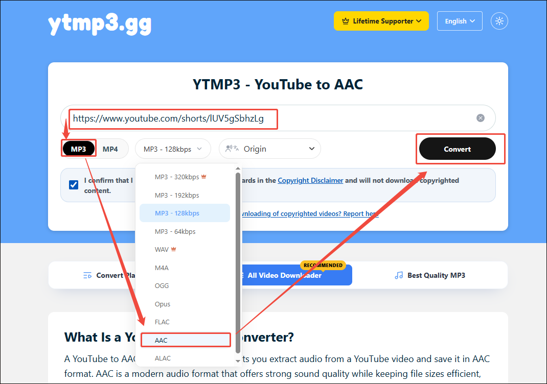 ttmp3 gg interface that shows how to accomplish the YouTube to AAC conversion.