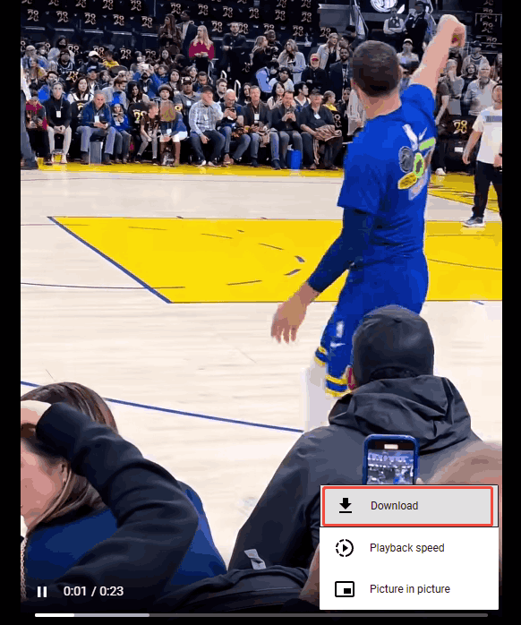 Online Video Downloader interface with the Download option selected to start the download process.