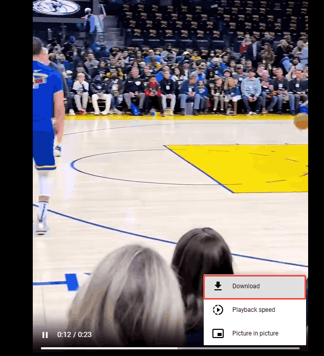 Online Video Downloader interface with the Download option selected to start the download process.