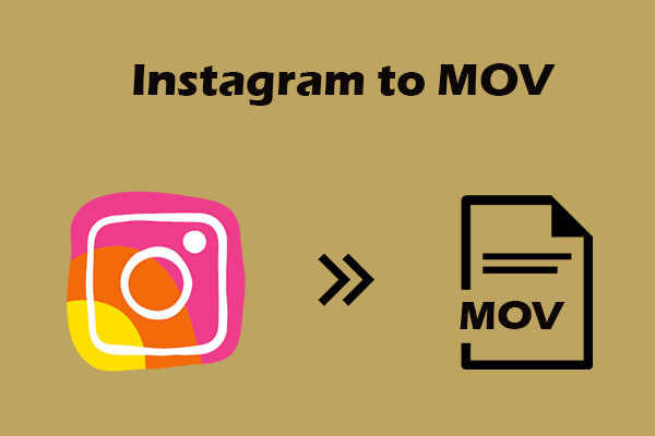 How to Convert Instagram to MOV Without Effort – 2 Quick Steps